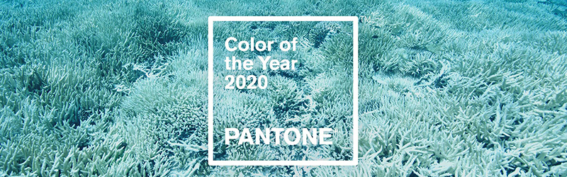 揭示了2020年的非正式PANTONE色彩